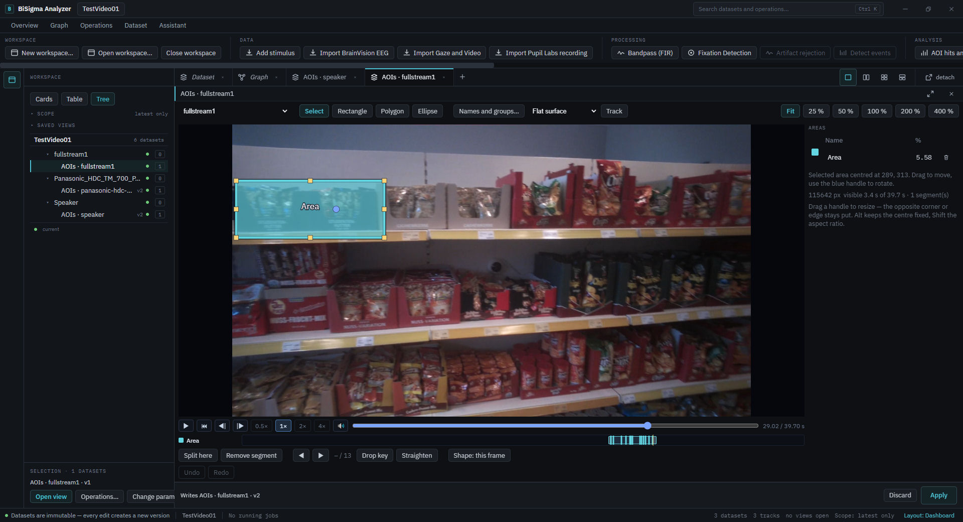 AOI designer in BiSigma Analyzer for a time-based video track